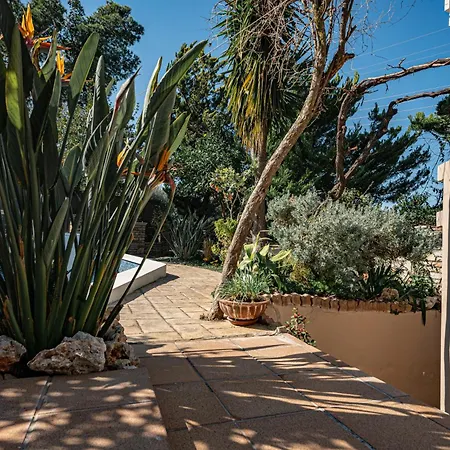 Zabella House With Pool *