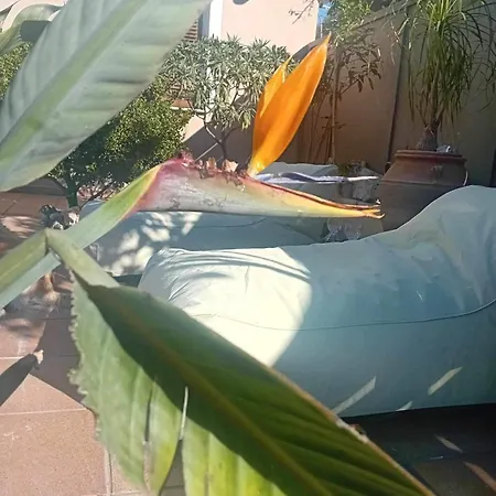 別荘 Zabella House With Pool