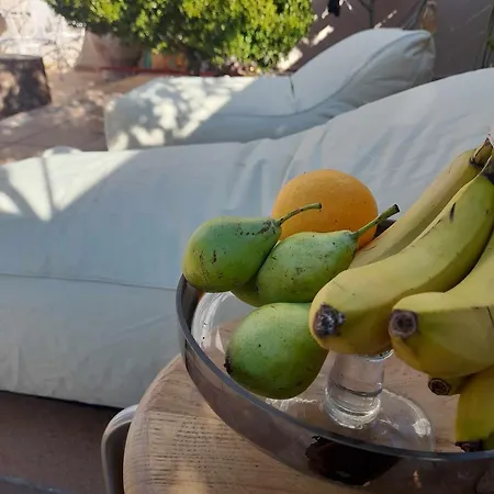 Zabella House With Pool 別荘 *